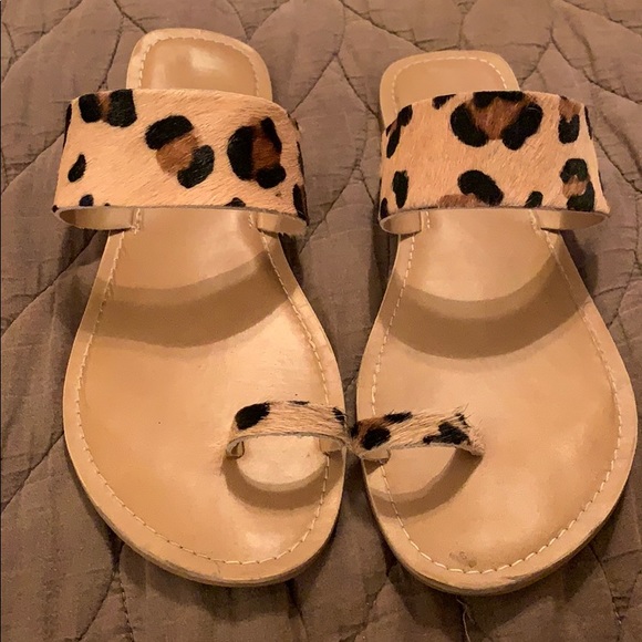 matisse leopard flats